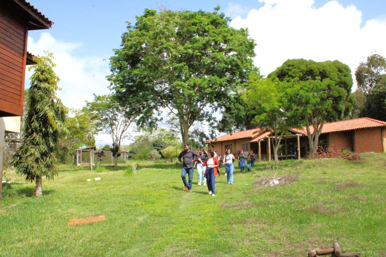 Descubra a Rota do Café Conilon: Encantos de Jaguaré, ES