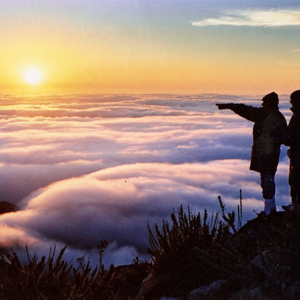 Explorando o Turismo de Natureza Sustentável: Uma Jornada Educativa